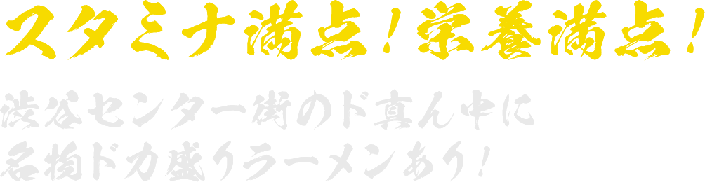 スタミナ満点！栄養満点！