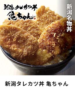 新潟タレカツ丼　亀ちゃん